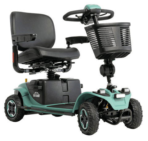 Pride Mobility Products Pride Baja Bandit – geländegängiges Elektromobil, 12 km/h bis 181 kg