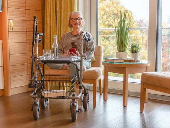 Drive Medical Standard-Rollator Migo 2G – Produktbild